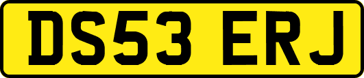 DS53ERJ