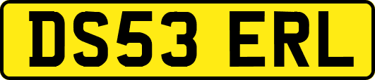 DS53ERL
