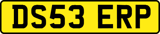 DS53ERP