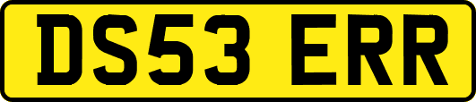 DS53ERR