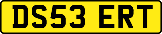 DS53ERT