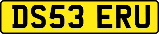 DS53ERU