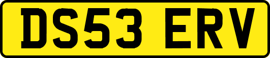DS53ERV