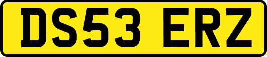 DS53ERZ