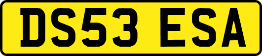 DS53ESA