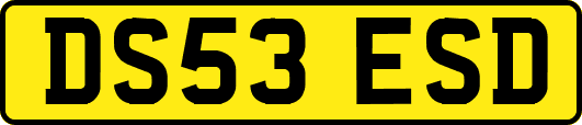 DS53ESD
