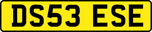 DS53ESE