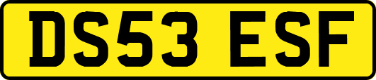 DS53ESF