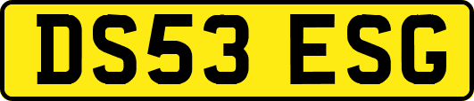 DS53ESG