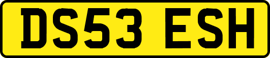 DS53ESH