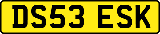 DS53ESK