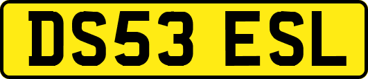 DS53ESL