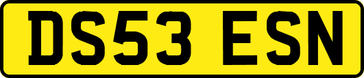 DS53ESN