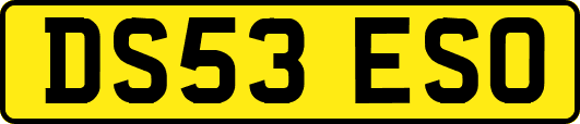 DS53ESO