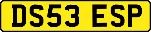 DS53ESP