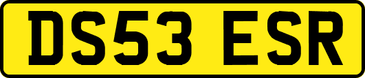 DS53ESR