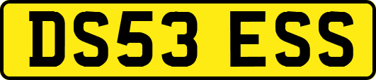 DS53ESS