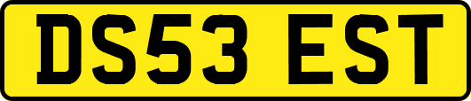DS53EST