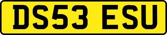 DS53ESU
