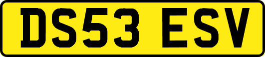 DS53ESV