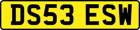 DS53ESW