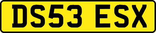 DS53ESX