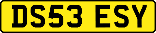 DS53ESY