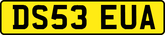 DS53EUA