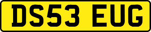 DS53EUG