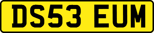 DS53EUM