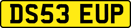 DS53EUP