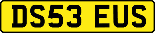 DS53EUS