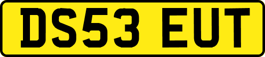DS53EUT
