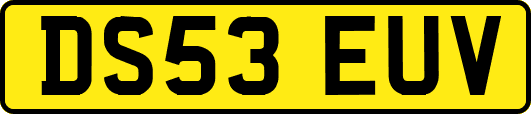 DS53EUV
