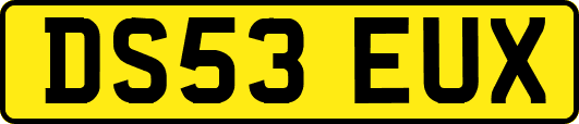 DS53EUX
