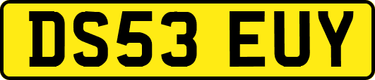 DS53EUY