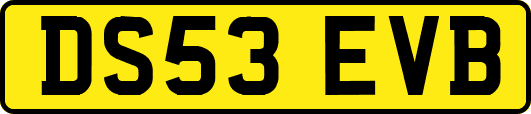DS53EVB