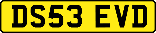 DS53EVD