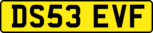DS53EVF