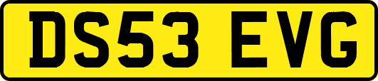 DS53EVG