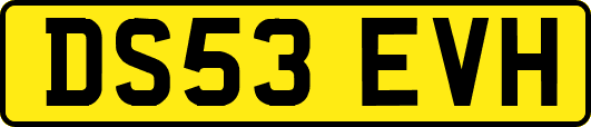 DS53EVH