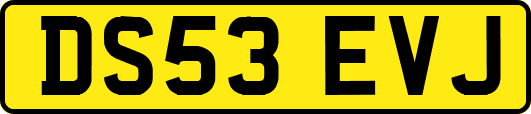 DS53EVJ