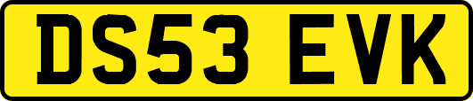 DS53EVK