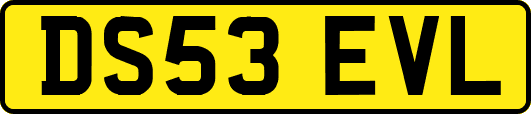 DS53EVL