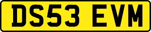 DS53EVM