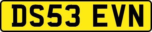 DS53EVN