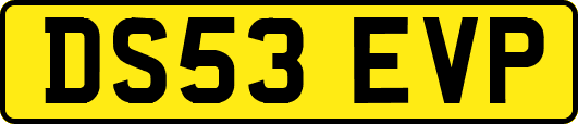 DS53EVP