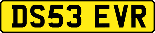 DS53EVR