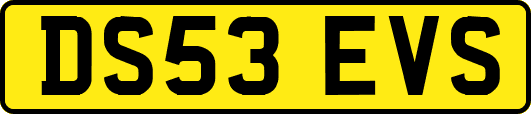 DS53EVS