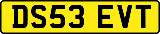 DS53EVT
